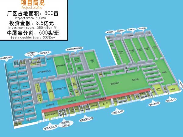 伊赛集团项目
